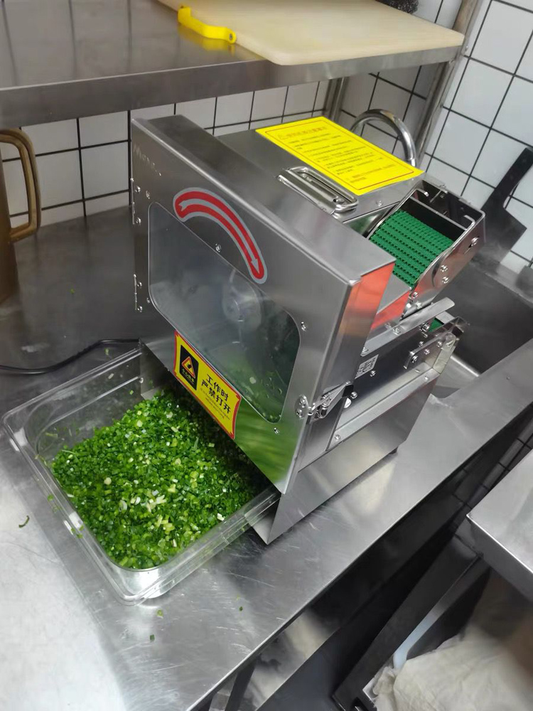 Commercial Kitchen Plumbing - 150 kg/u Groentesnijder Multifunctionele Voedselhakker voor