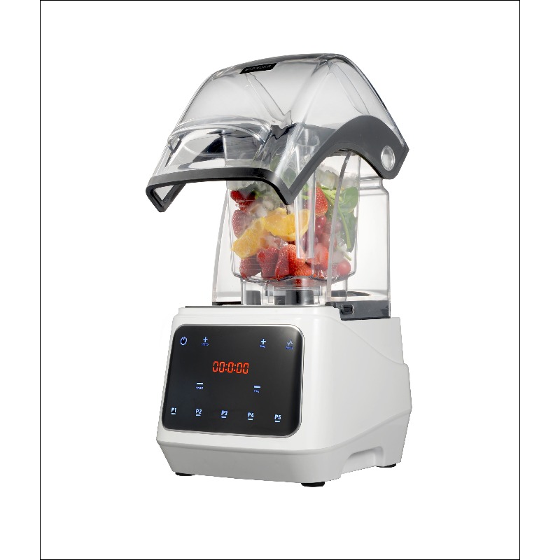 Airo Commerciële BPA-vrije Hog - Commercial Kitchen Juicer recensie en prijs